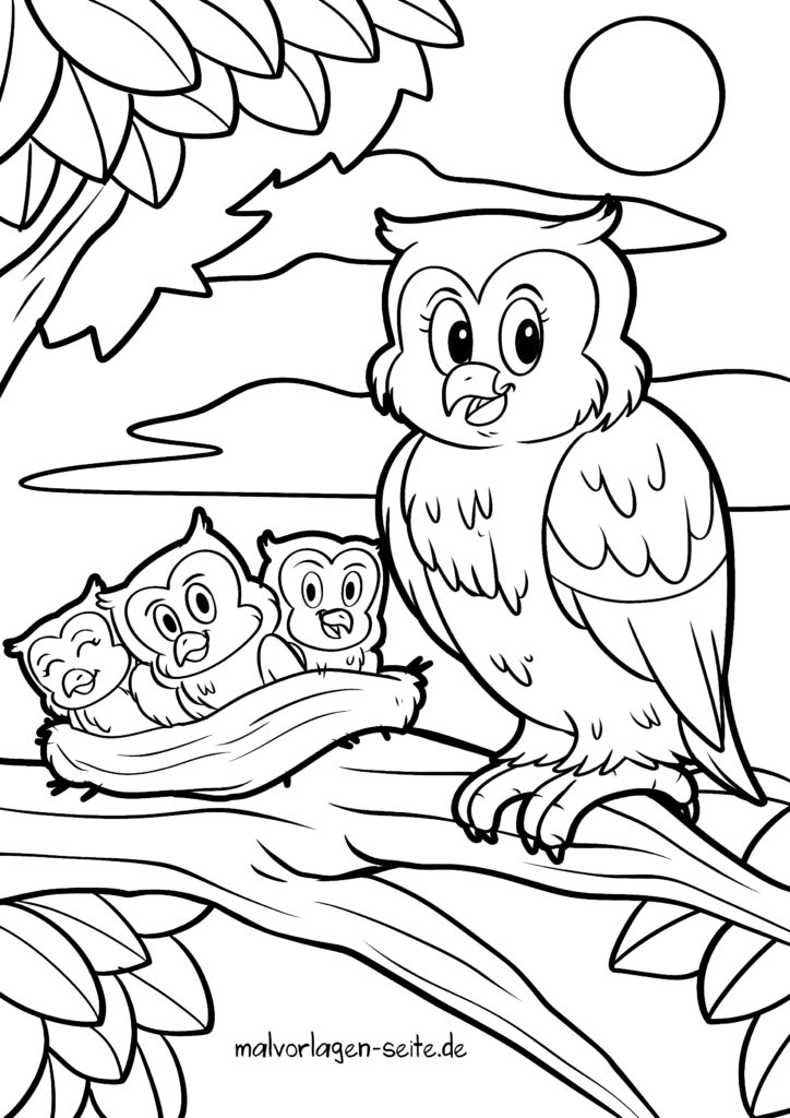  Ausmalbilder Eulen kostenlos herunterladen und ausmalen Illustration 