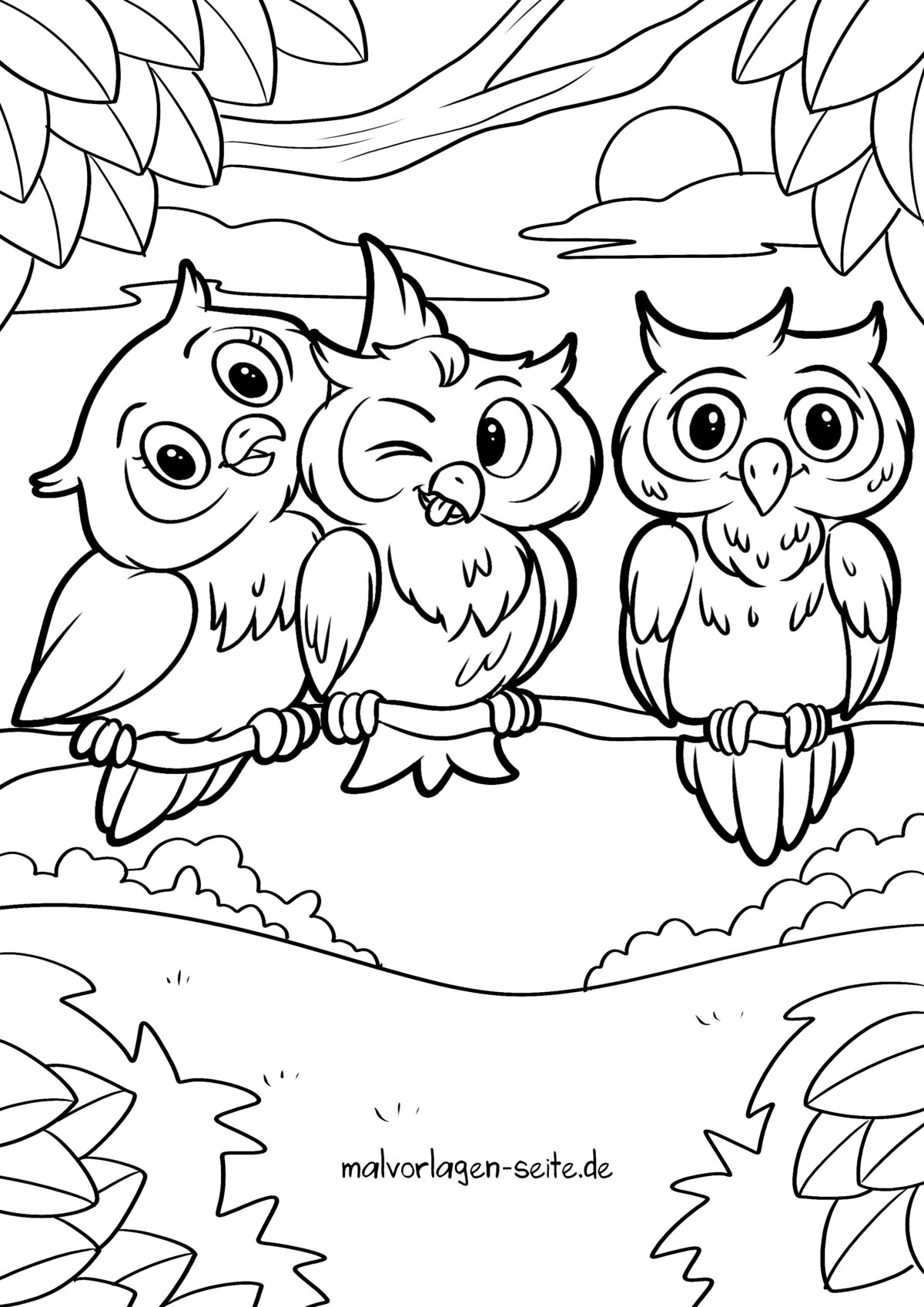  Malvorlage Eule - Jetzt kostenlos herunterladen Motiv 