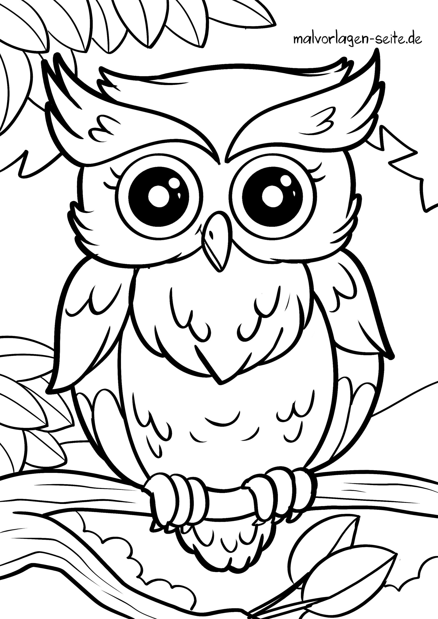 Malvorlage Eule