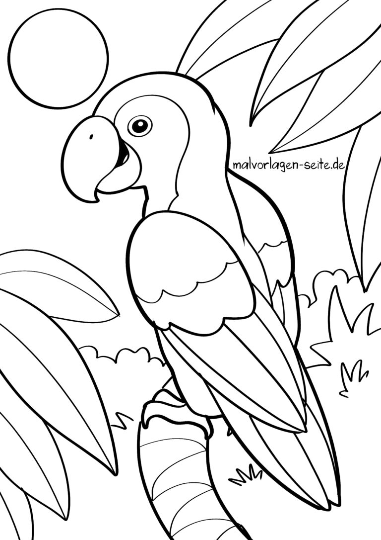  Foto zu Malvorlage Papagei - Ausmalbild kostenlos herunterladen 