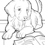 Malvorlage Hund