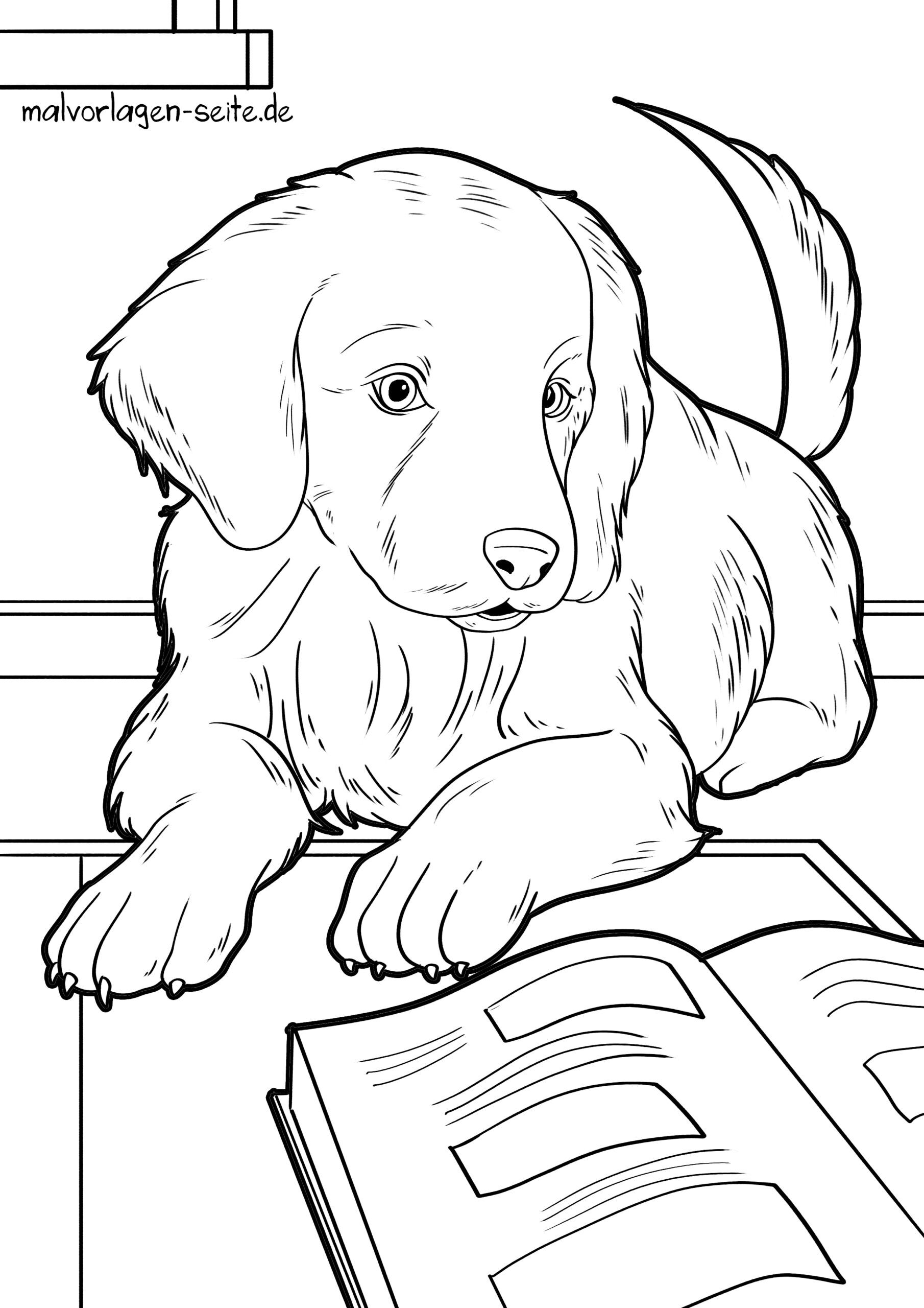 Malvorlage Hund