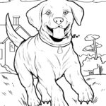 Malvorlage Hund