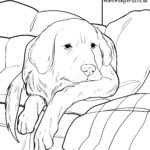Malvorlage Hund