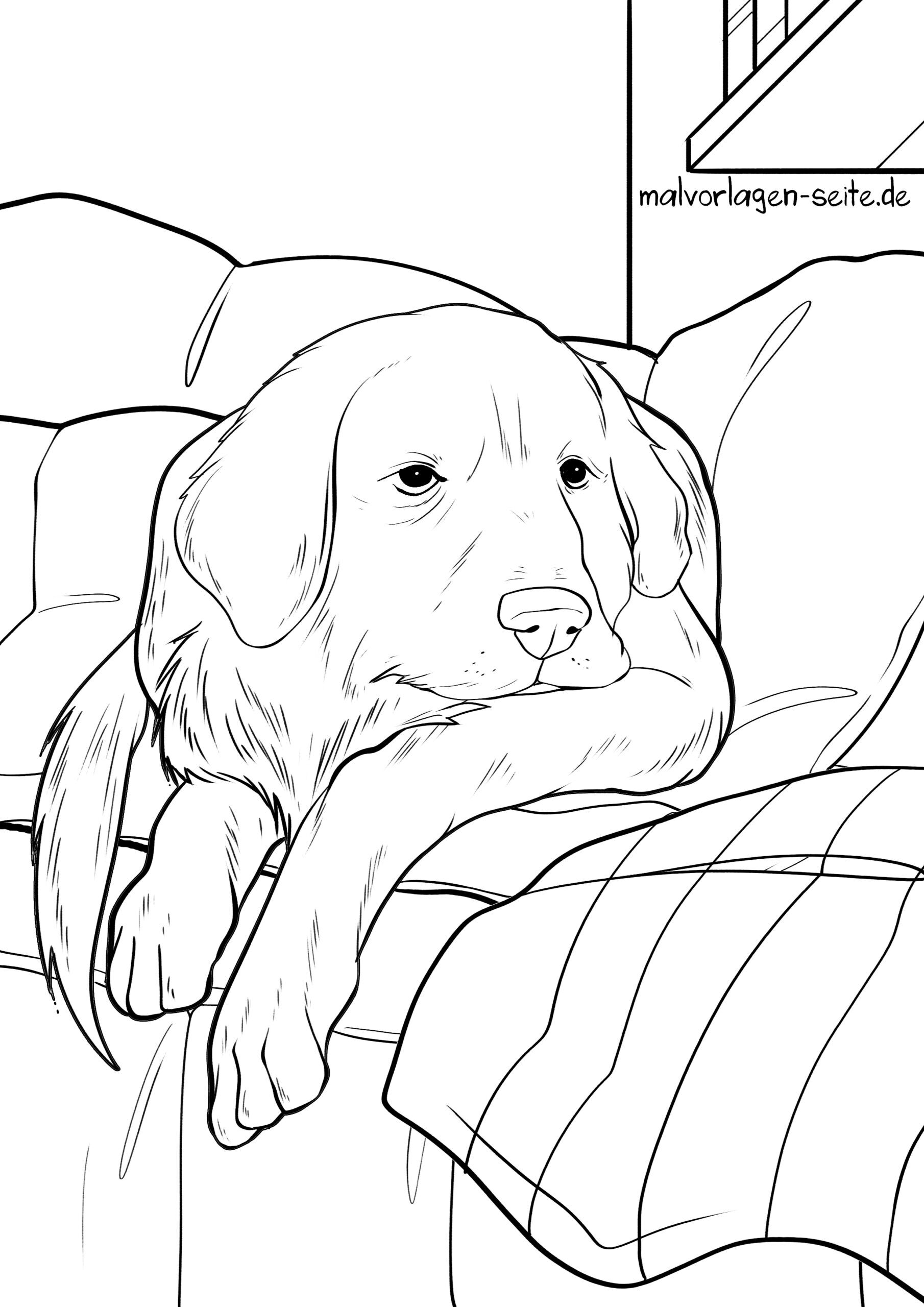 Malvorlage Hund