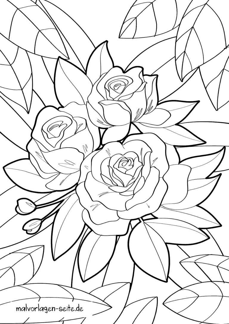 Ausmalbilder Rosen kostenlos herunterladen und ausmalen 