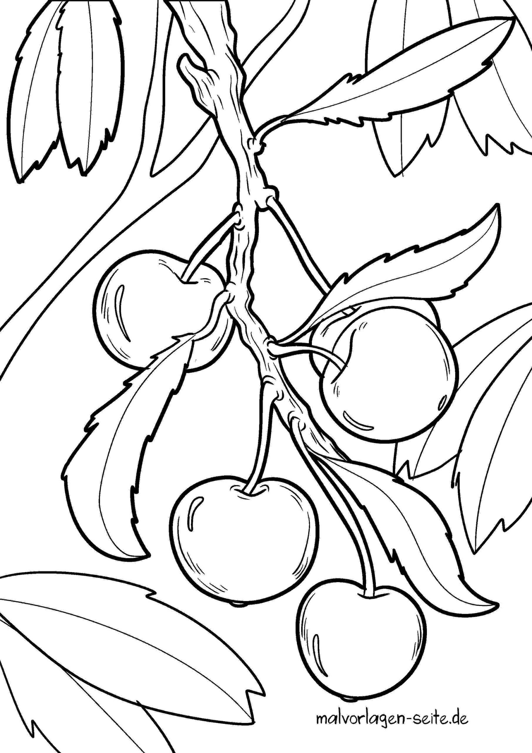Malvorlage Kirschen