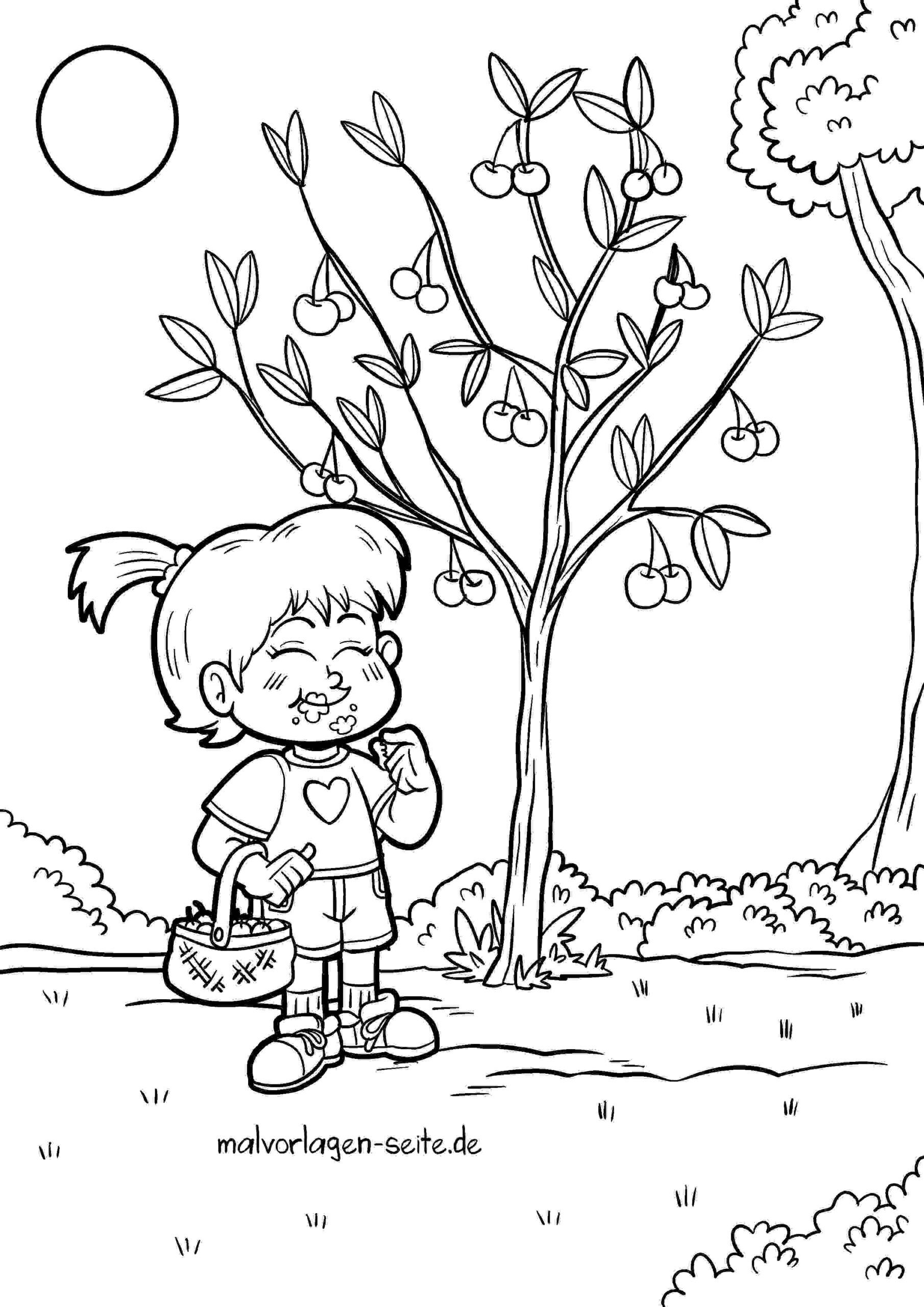 Malvorlage Kirschen