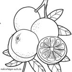 Malvorlage Blutorange