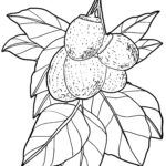 Malvorlage Brotfrucht