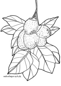 Malvorlage Brotfrucht