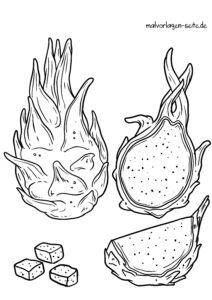 Malvorlage Drachenfrucht