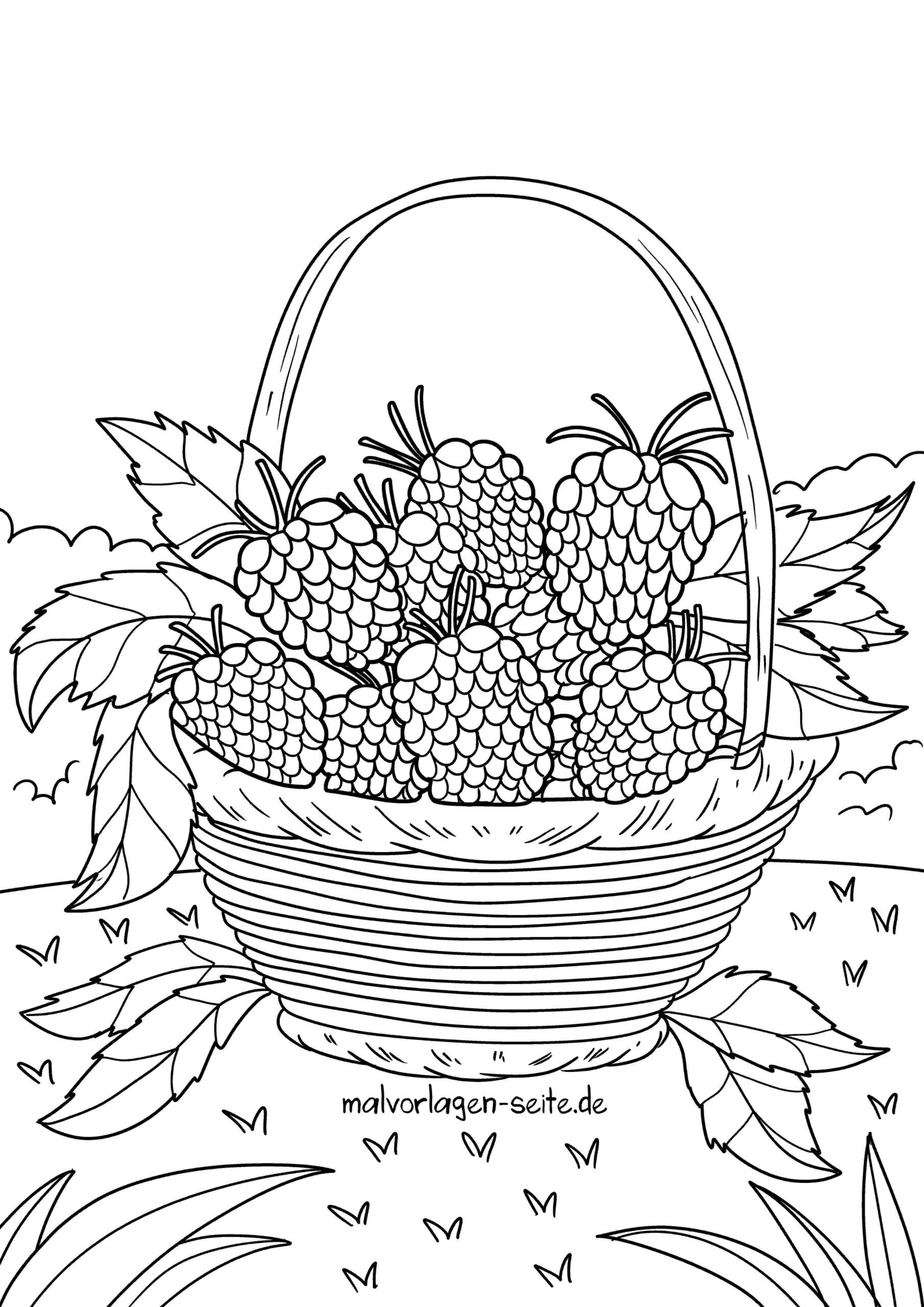 Malvorlage Himbeeren