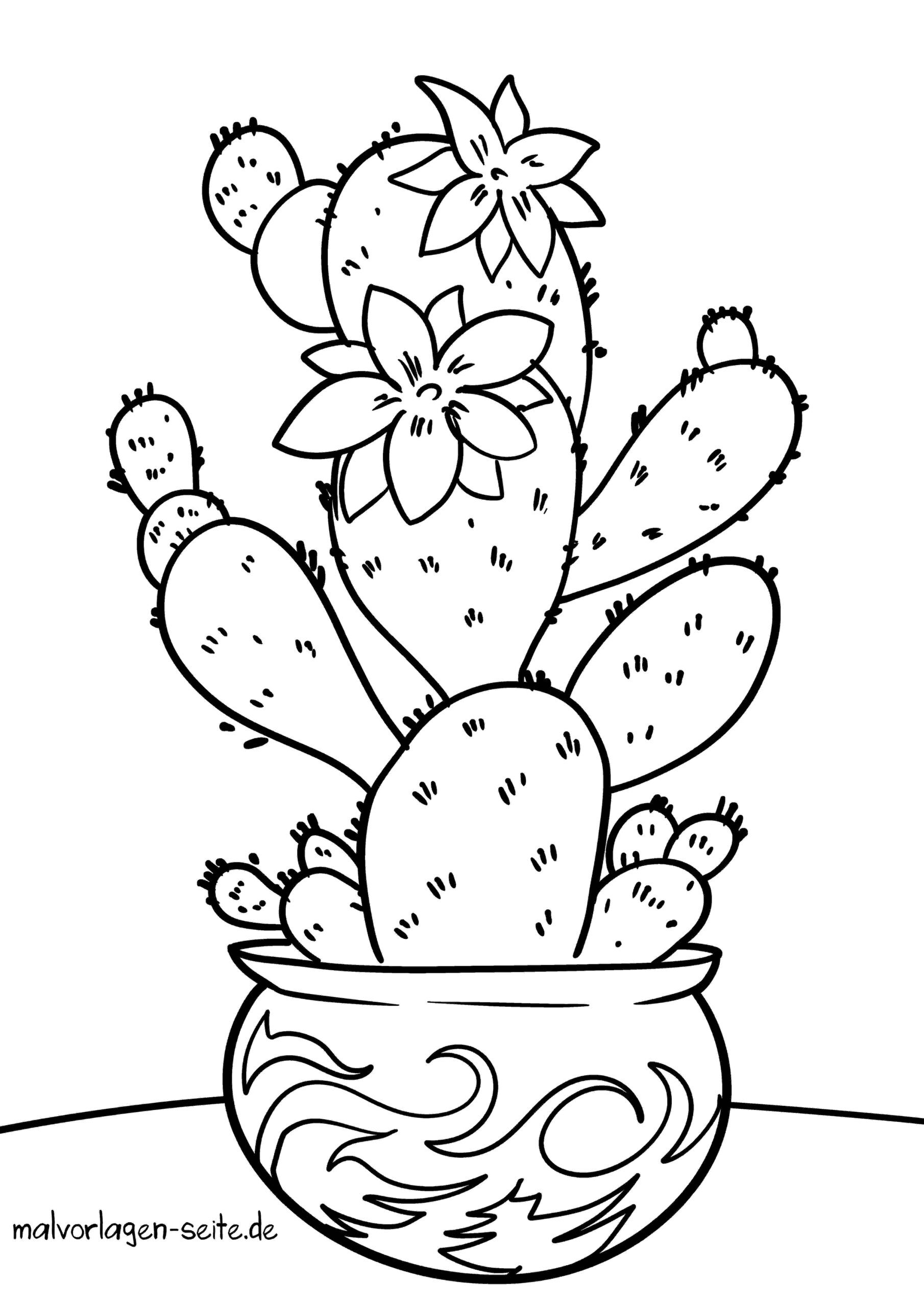 Malvorlage Kaktus