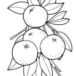 Malvorlage Nektarinen