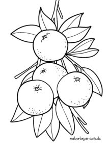 Malvorlage Nektarinen