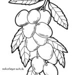 Malvorlage Pflaumen