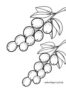 Malvorlage Camu-Camu Frucht