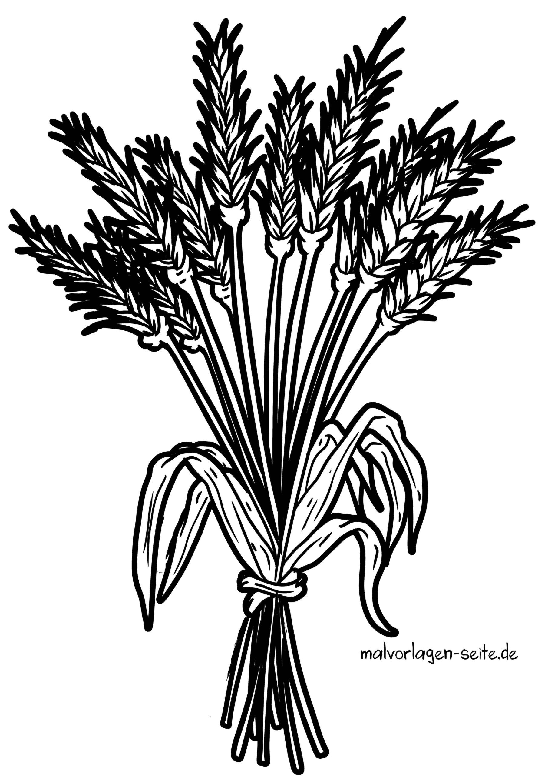 Malvorlage Getreide