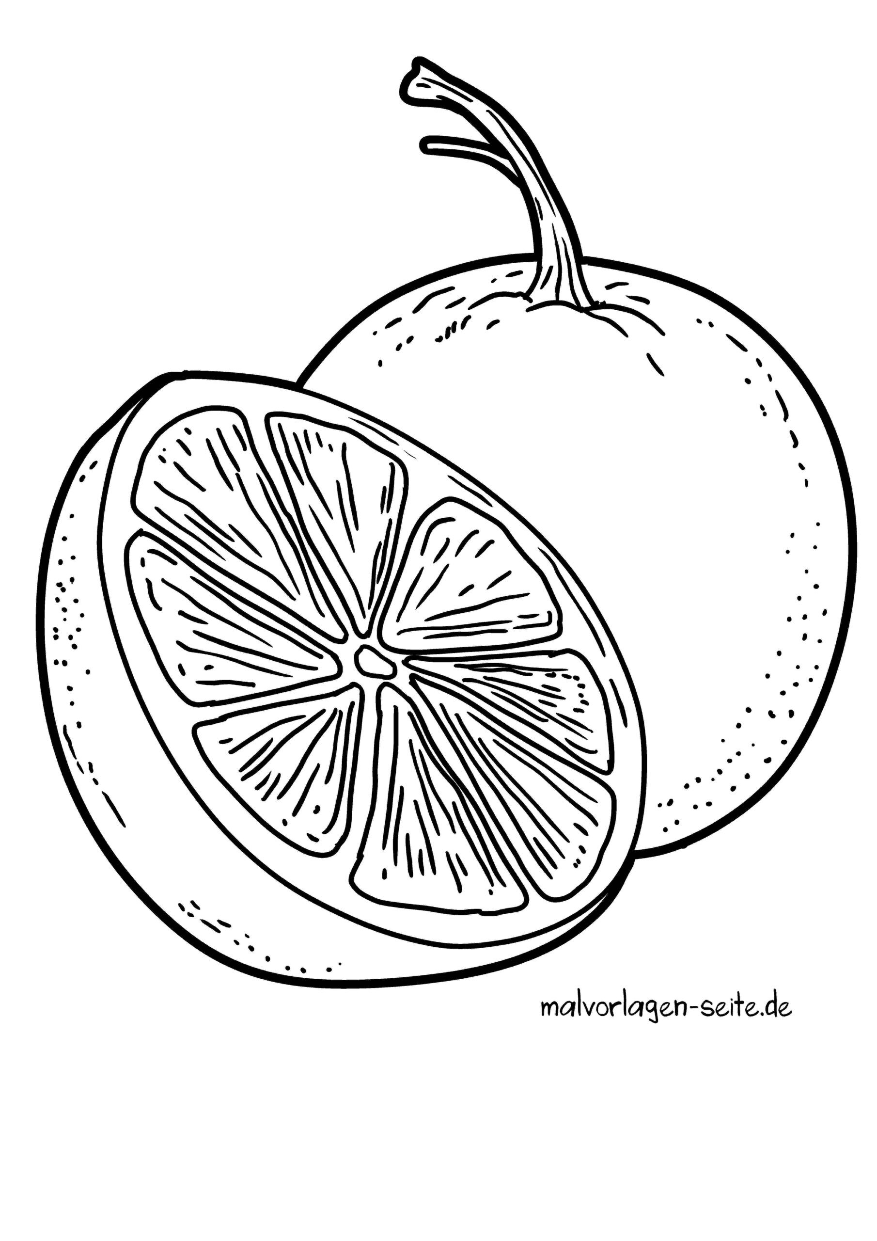 Malvorlage Grapefruit