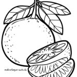 Malvorlage Mandarine