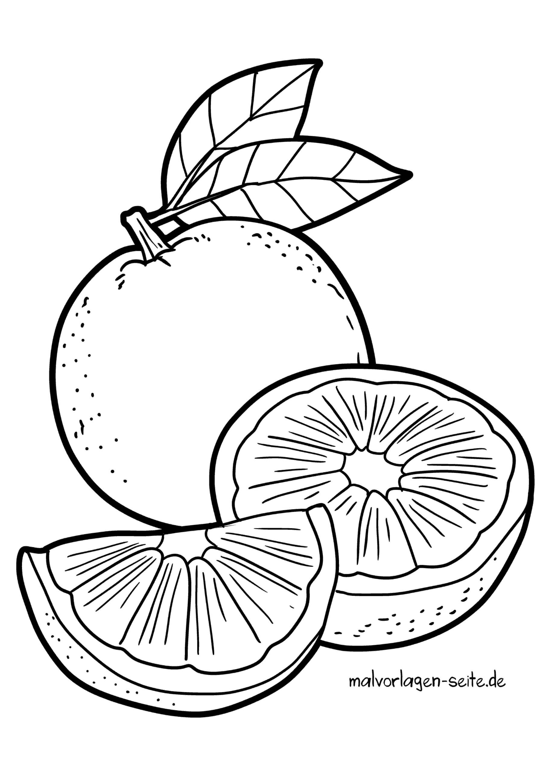 Malvorlage Orangen