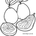 Malvorlage Pomelo