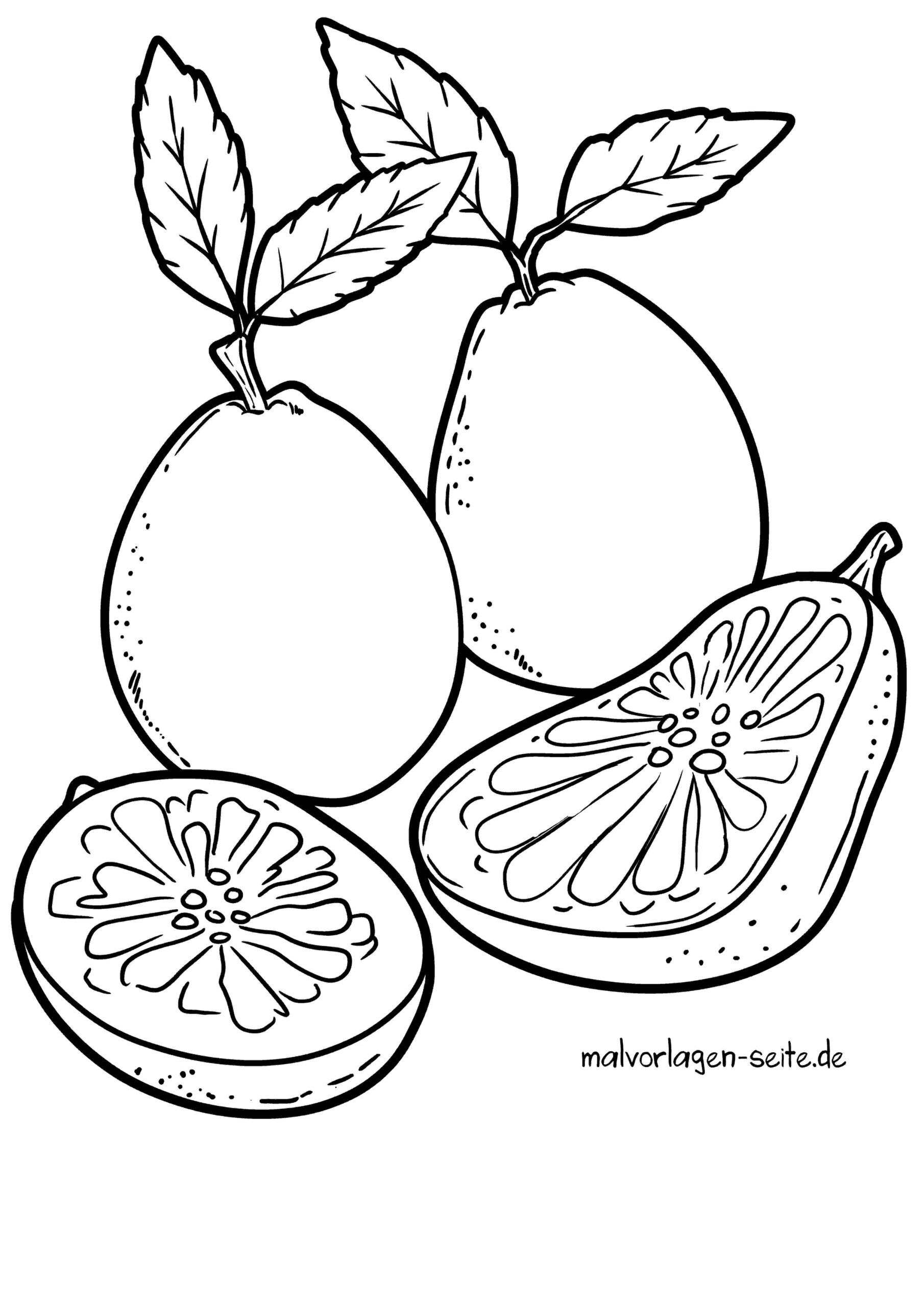 Malvorlage Pomelo
