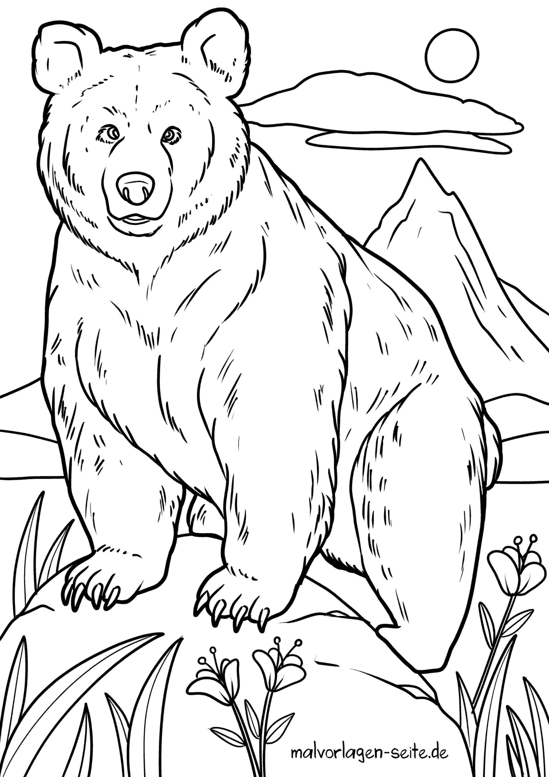 Malvorlage Bär