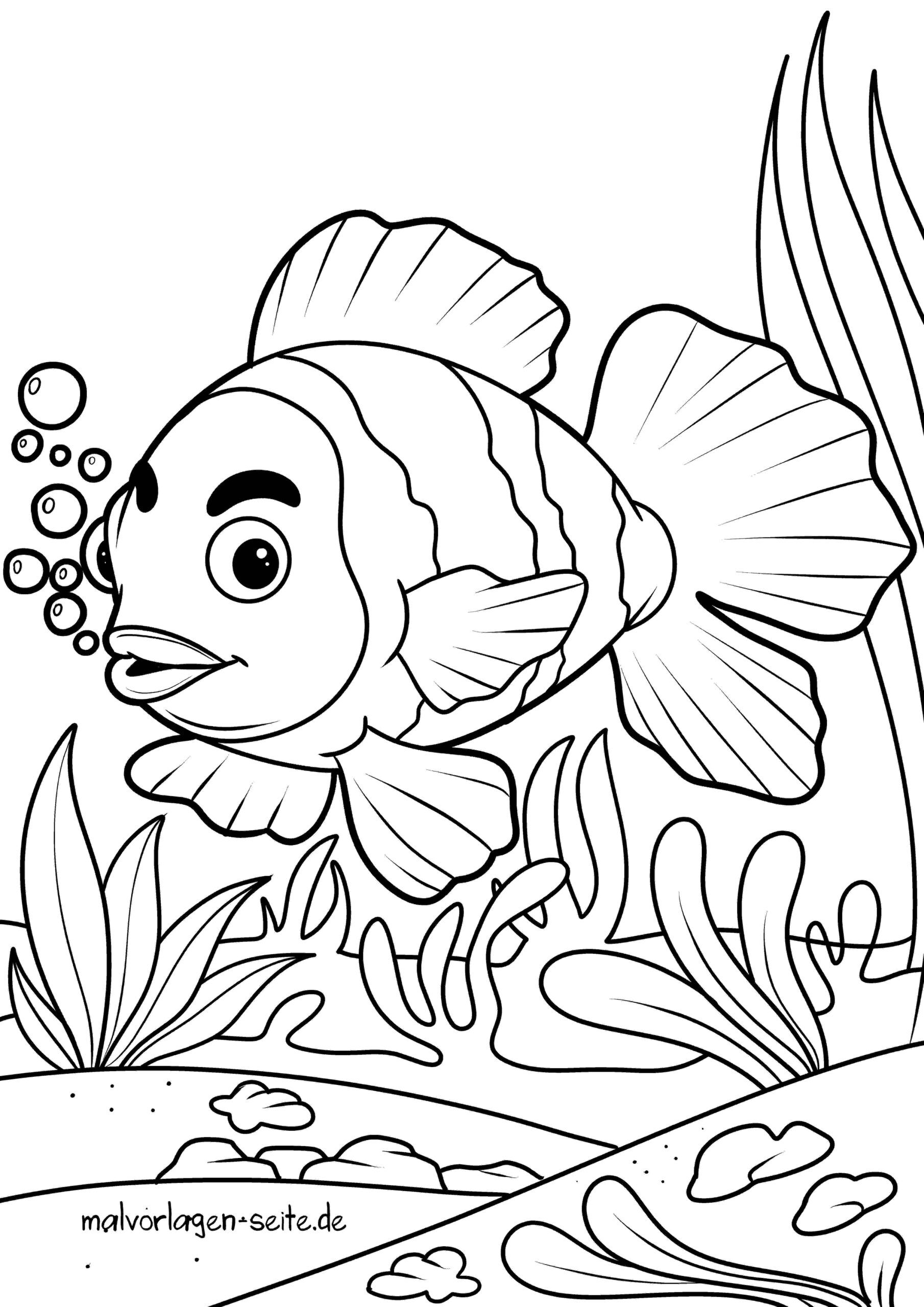 Malvorlage Clownfisch