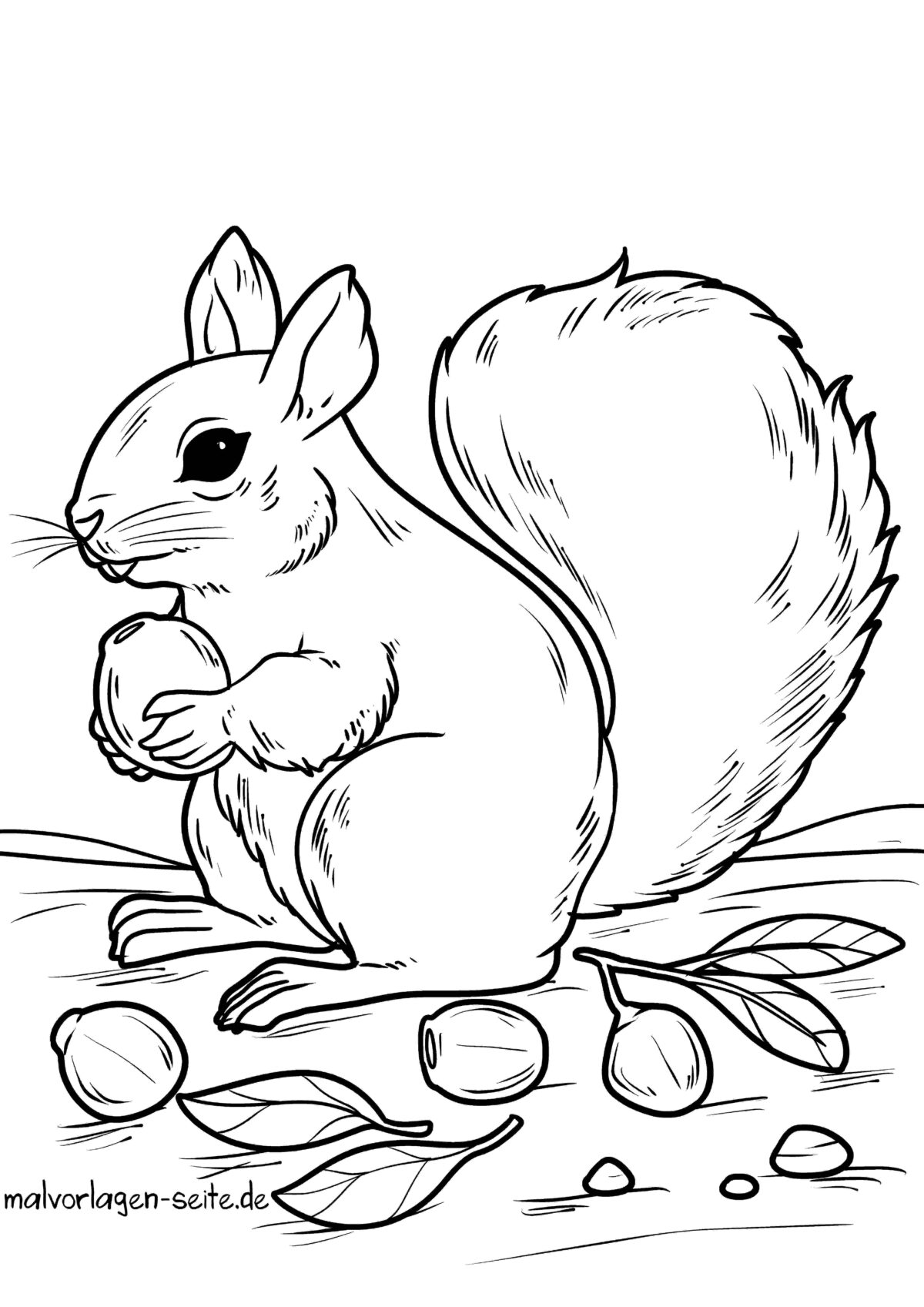  Tolle Ausmalbilder Eichhörnchen kostenlos herunterladen 