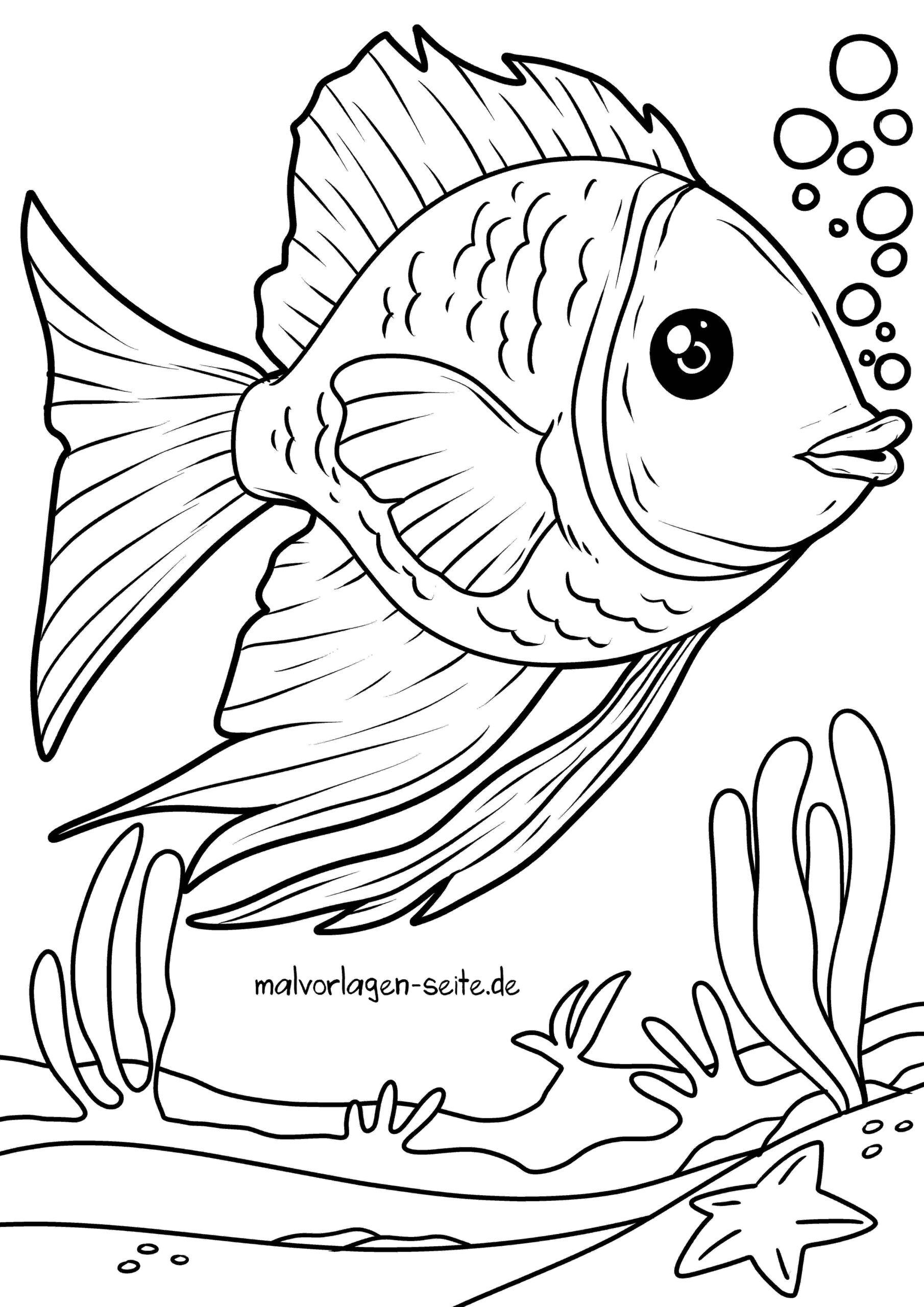 Malvorlage Korallenfisch