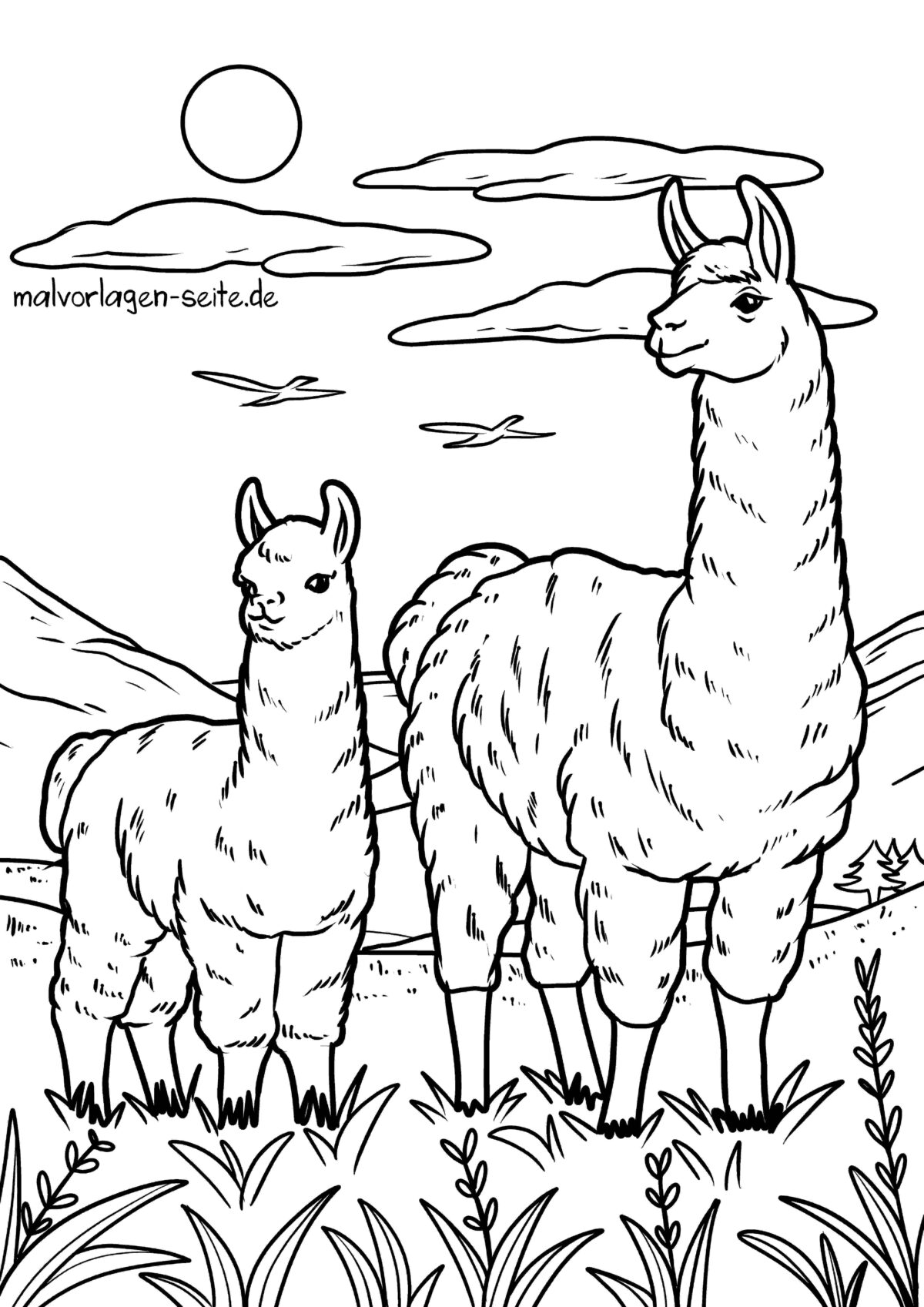 Malvorlage Lamas
