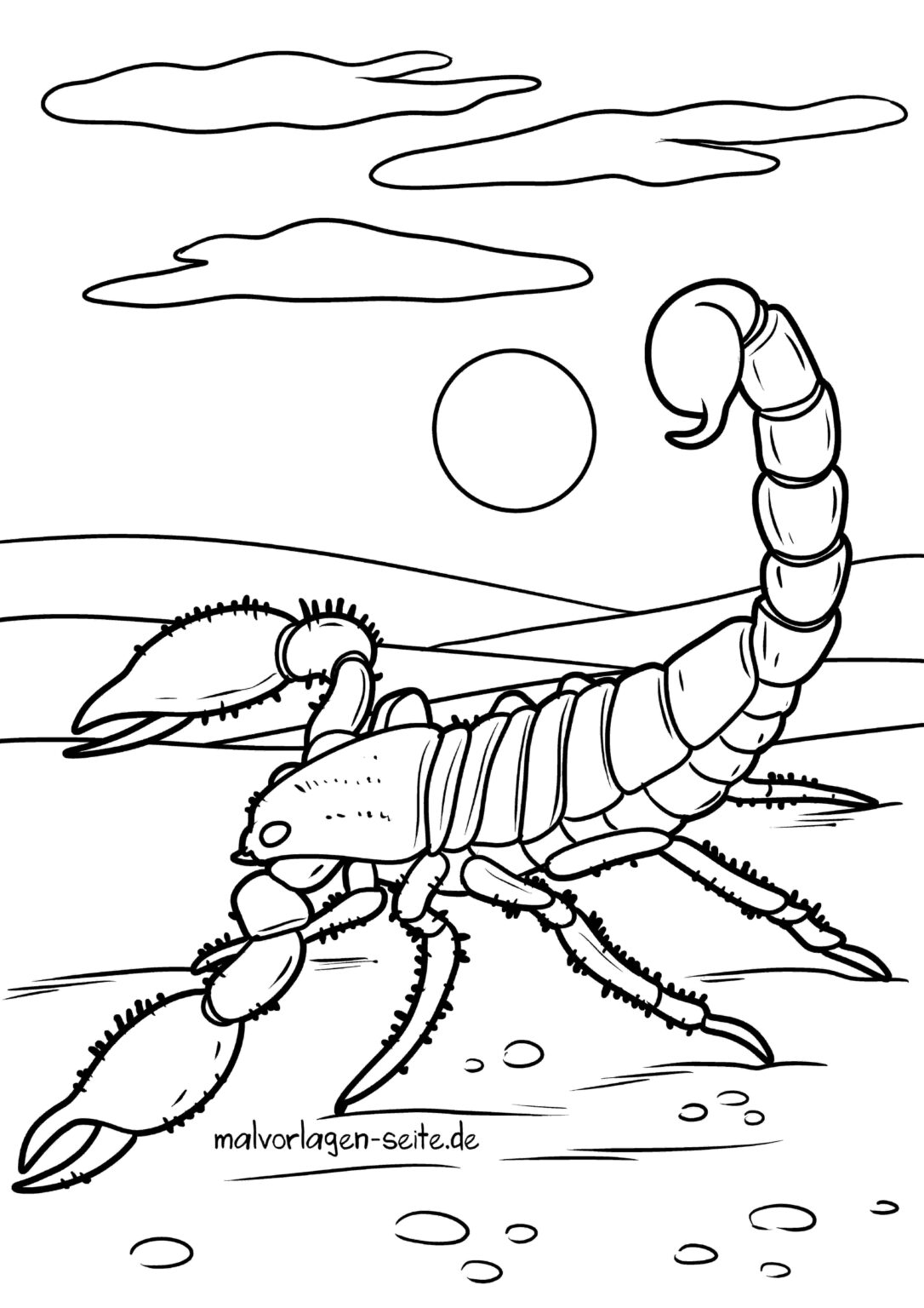  Foto zu Malvorlage Skorpion - Ausmalbild kostenlos herunterladen 