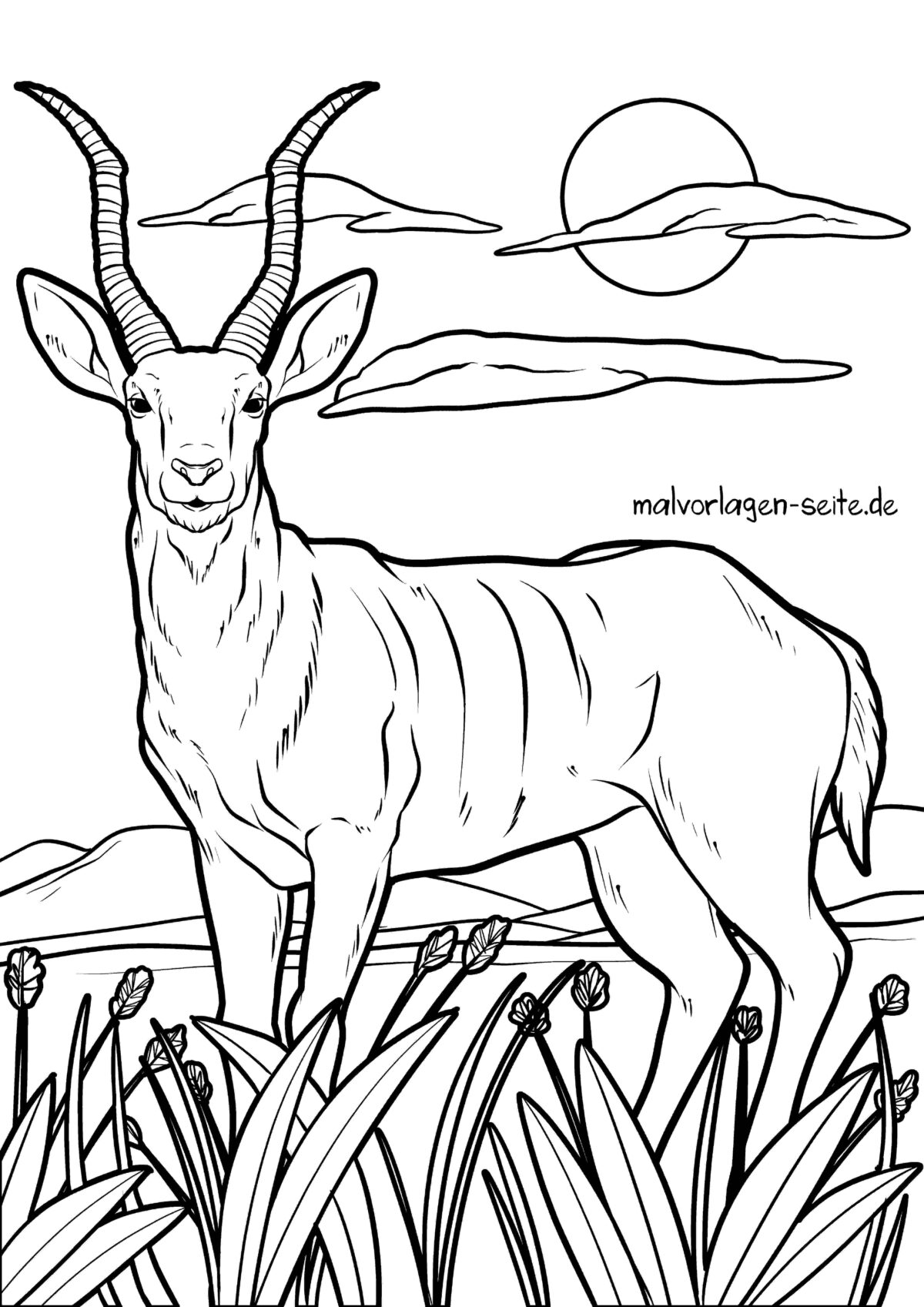Malvorlage Antilope