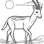 Malvorlage Gazelle