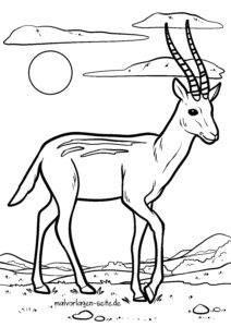 Malvorlage Gazelle