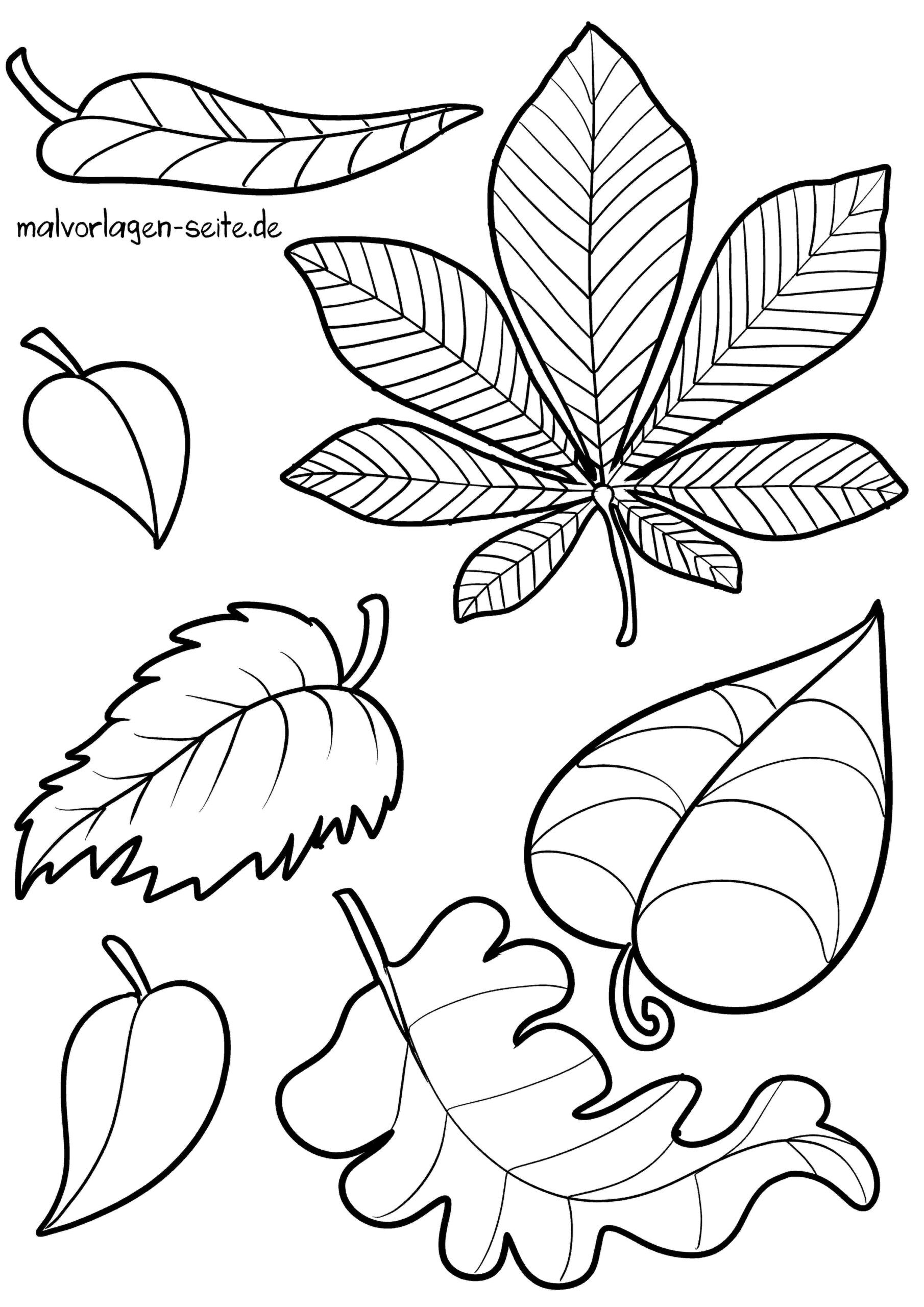 Malvorlage Herbstlaub