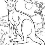 Malvorlage Känguru
