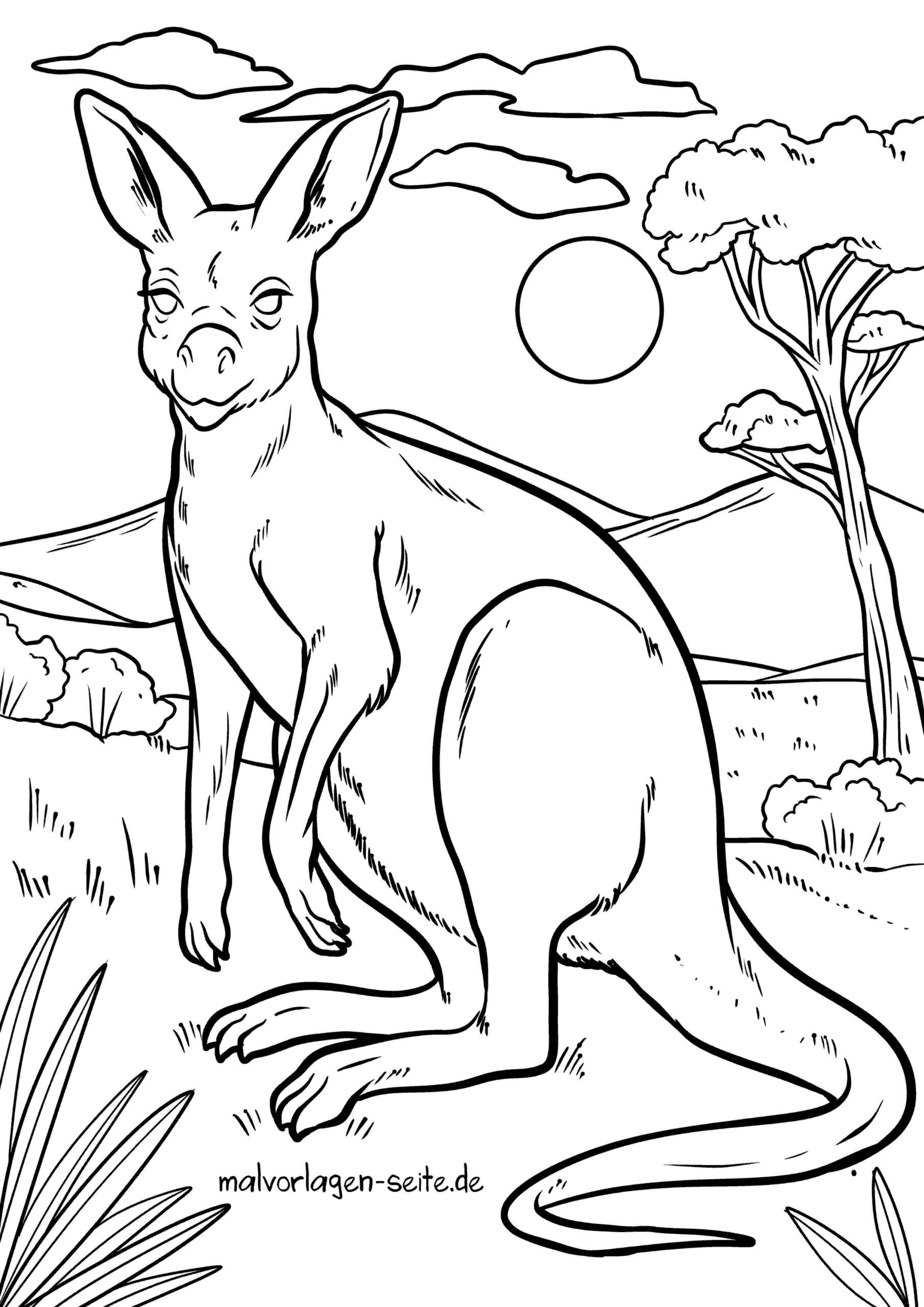 Malvorlage Känguru