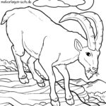 Malvorlage Steinbock