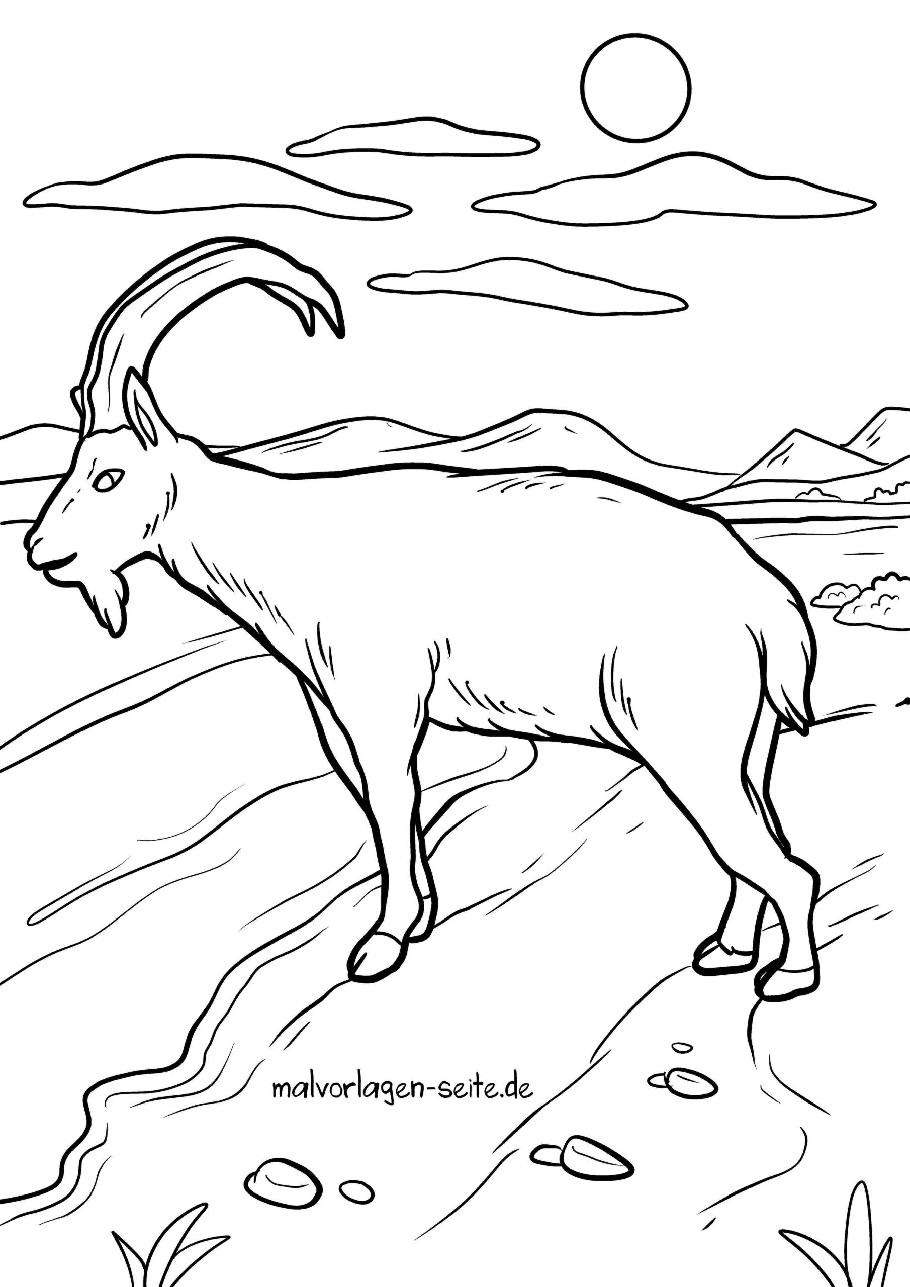 Malvorlage Steinbock