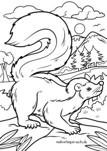 Malvorlage Stinktier - Skunk