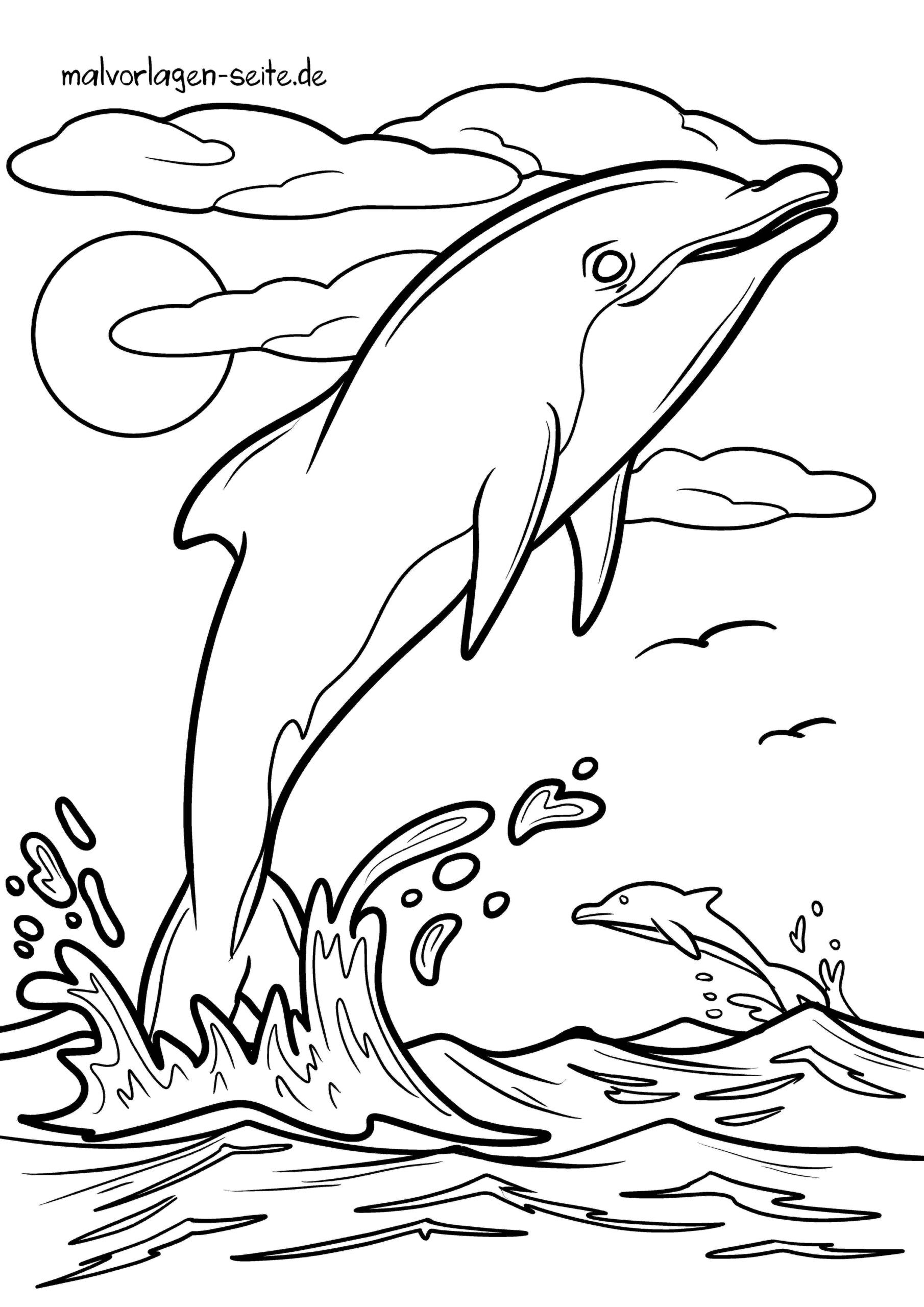 Malvorlage Delfin
