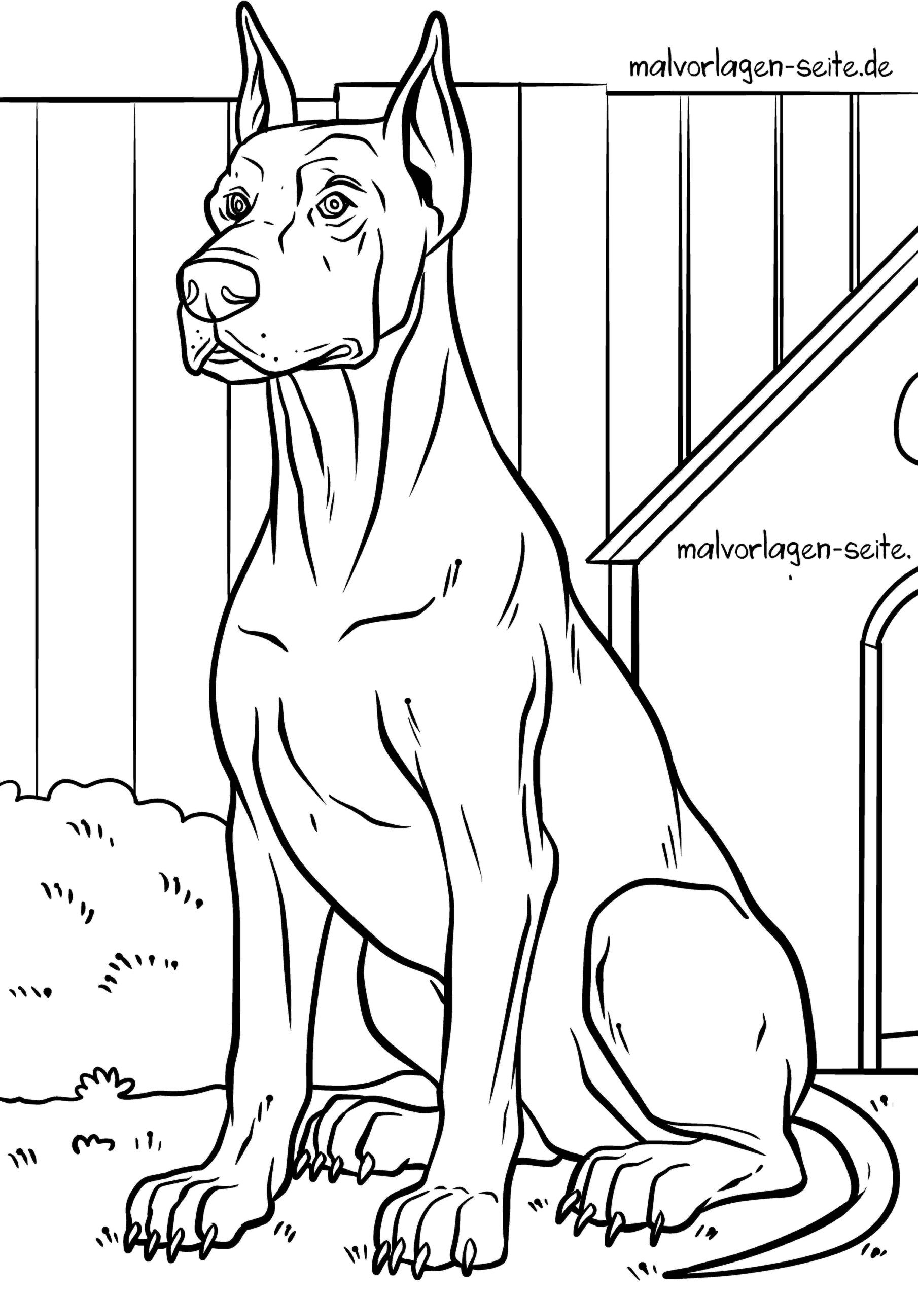 Malvorlage Dobermann