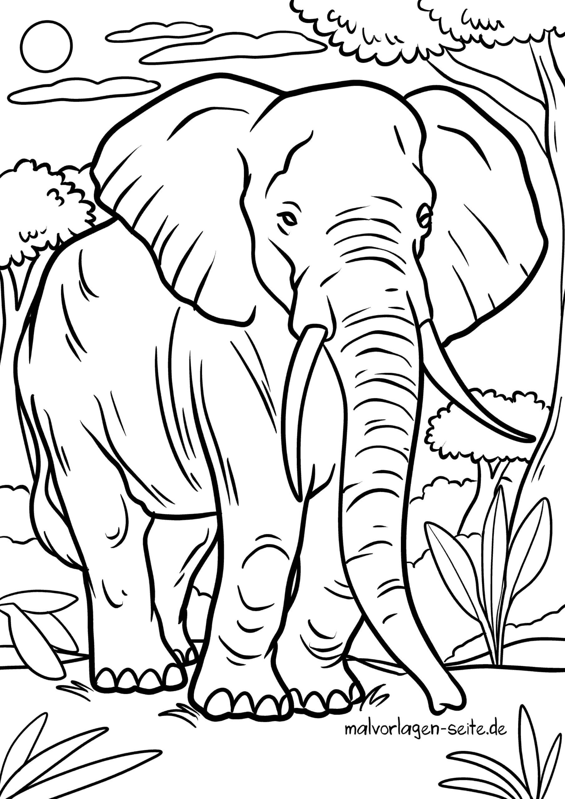 Malvorlage Elefant