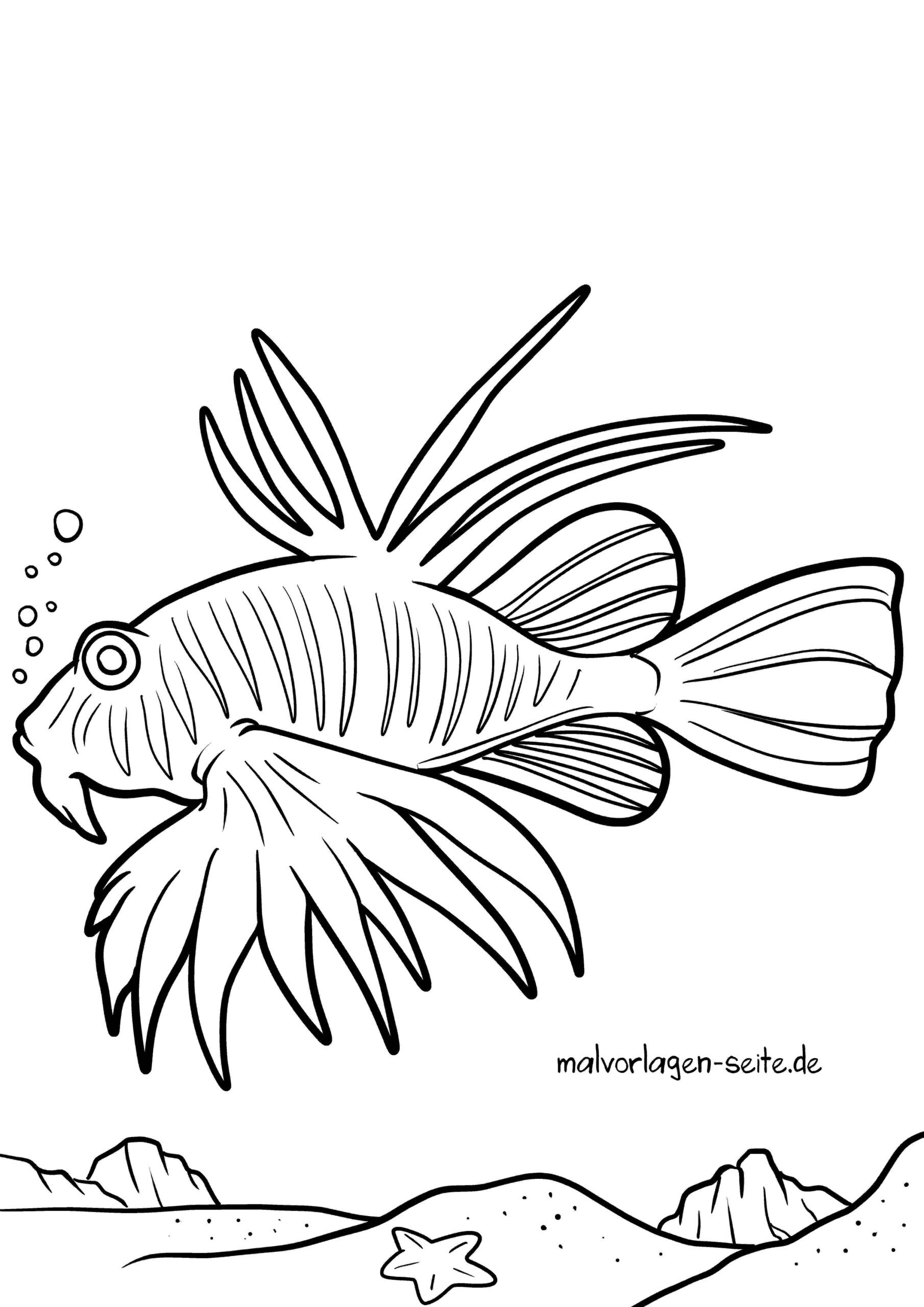 Malvorlage Feuerfisch