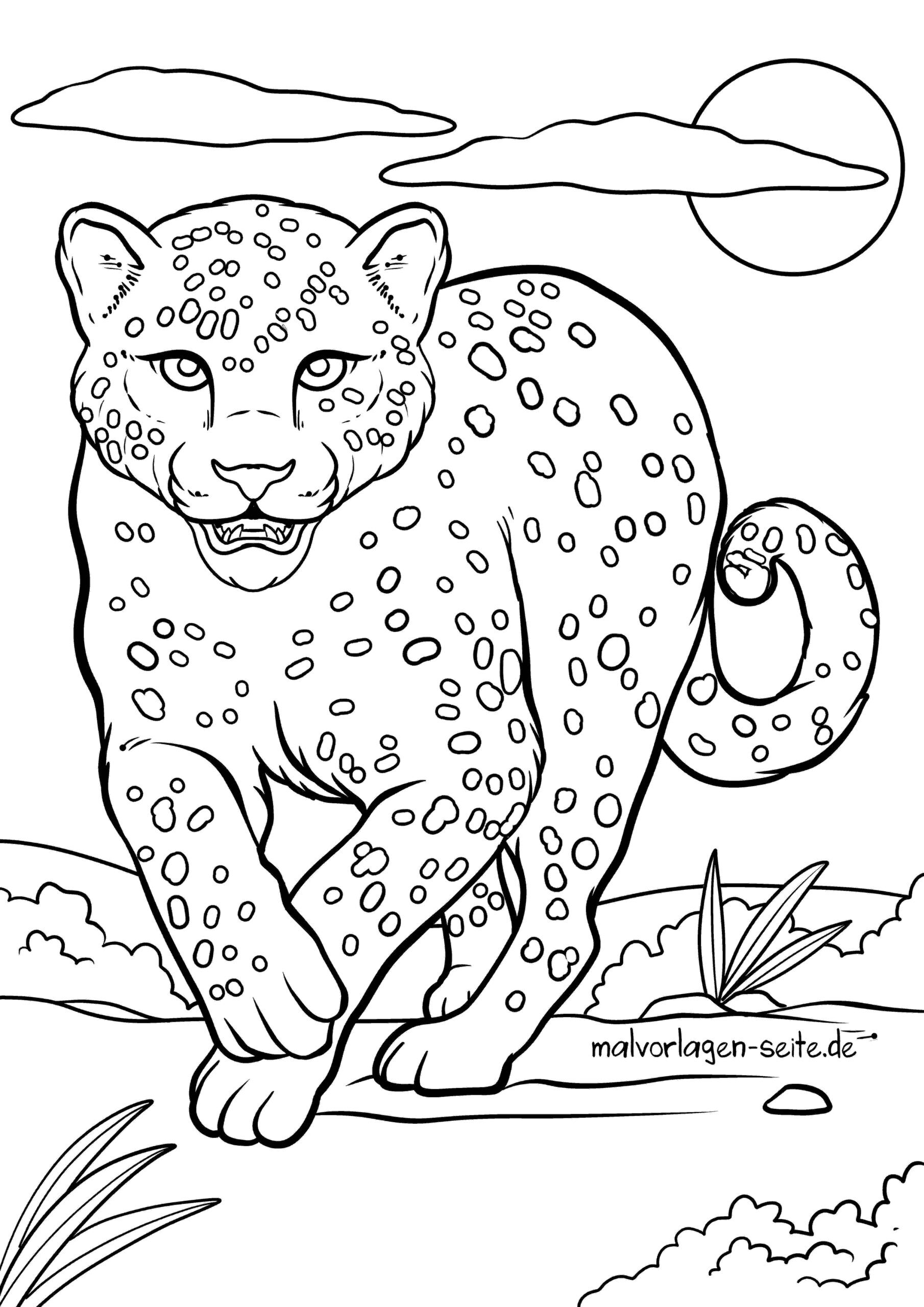 Malvorlage Gepard