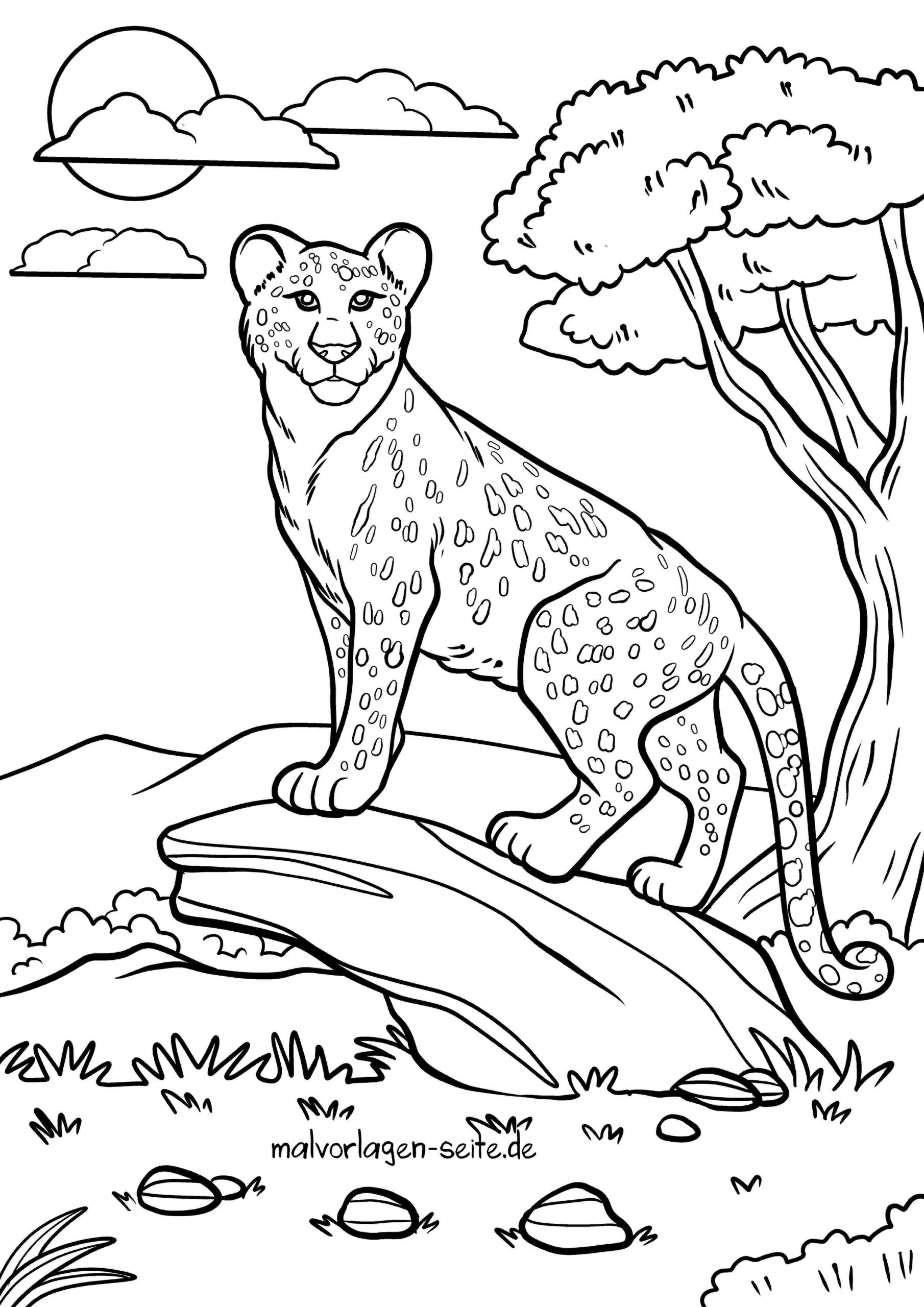 Malvorlage Gepard