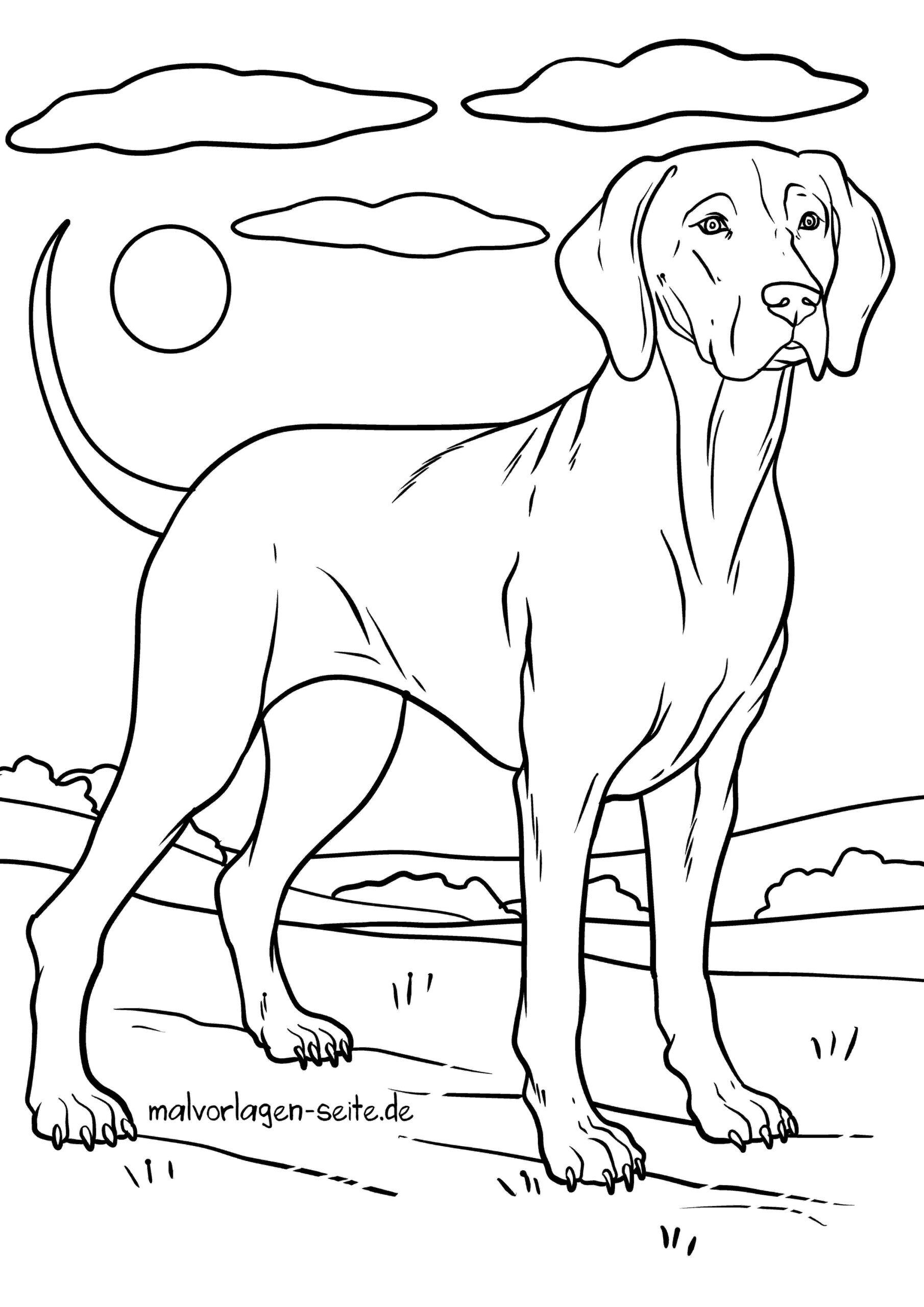 Malvorlage Hund